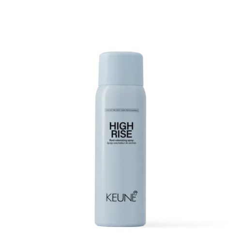 High Rise